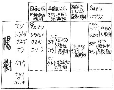 陽樹 種類|陰樹と陽樹の違いと代表的な樹木 